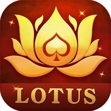 rummy public download